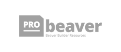 pro-beaver-logo-sw